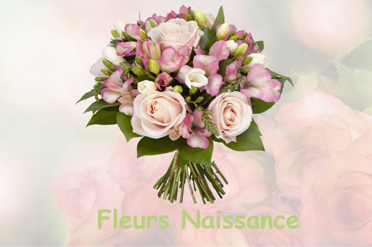 fleurs naissance SAINT-AUBIN-LES-FORGES